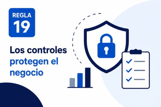 regla-19-los-controles-protegen-el-negocio